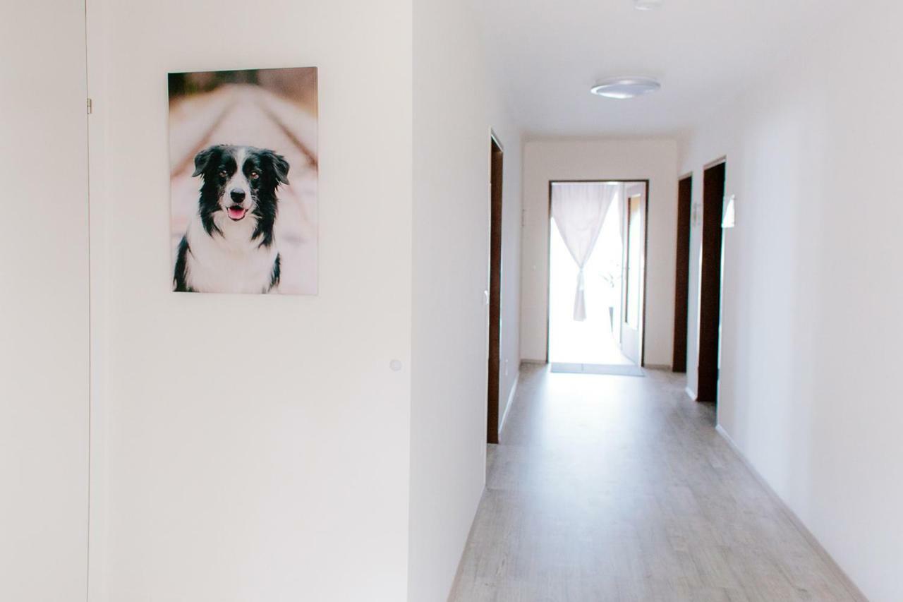 Steira-Studios Ehrenhausen Exteriér fotografie
